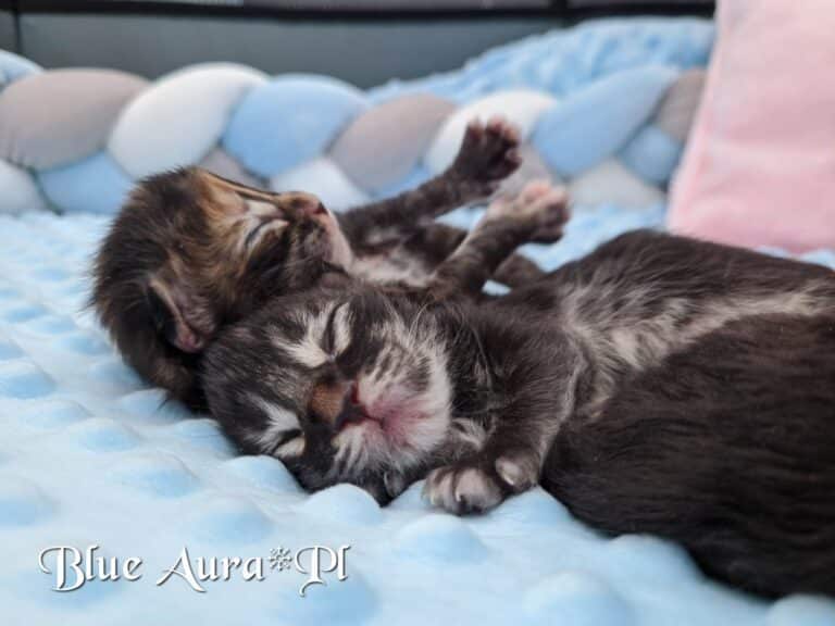 300201609 588122609706072 741539653628688298 n