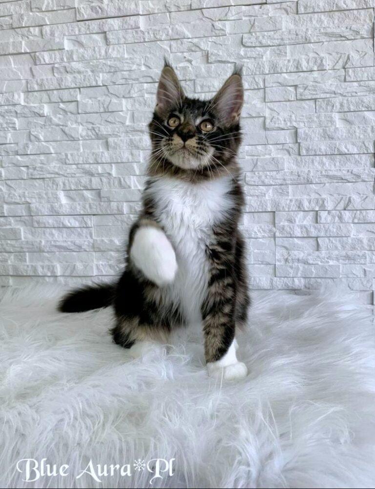 369588887 1005527727295557 8916856782941160619 n