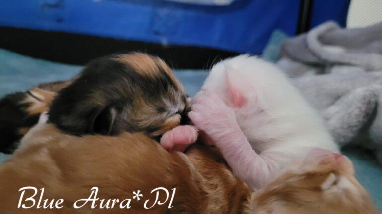 Zdjecie WhatsApp 2024 01 26 o 13.52.19 44a7d0ef