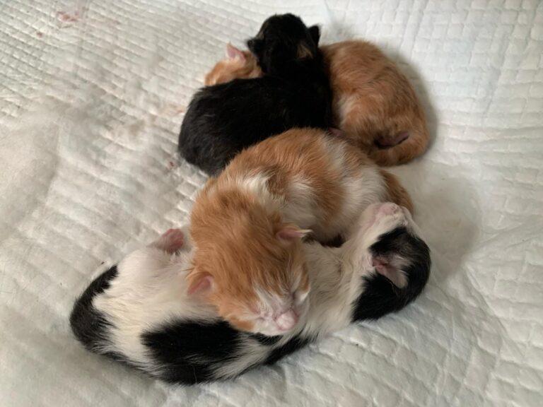 429813219 1128439295004399 2555695146150674053 n