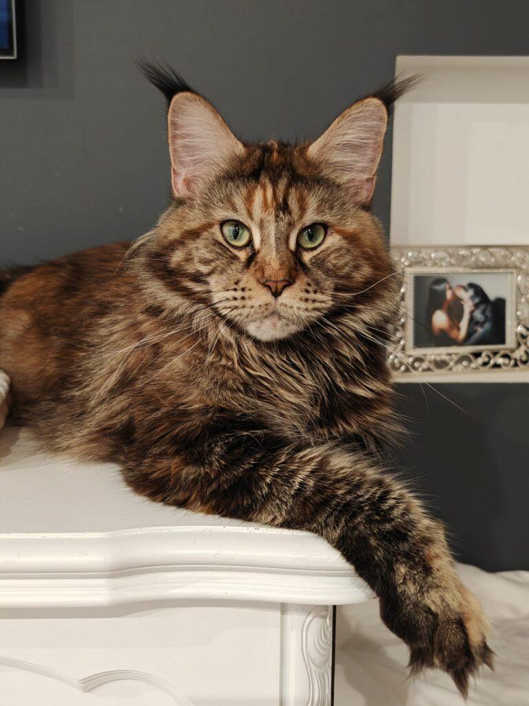 IMG 20241021 WA0012 3