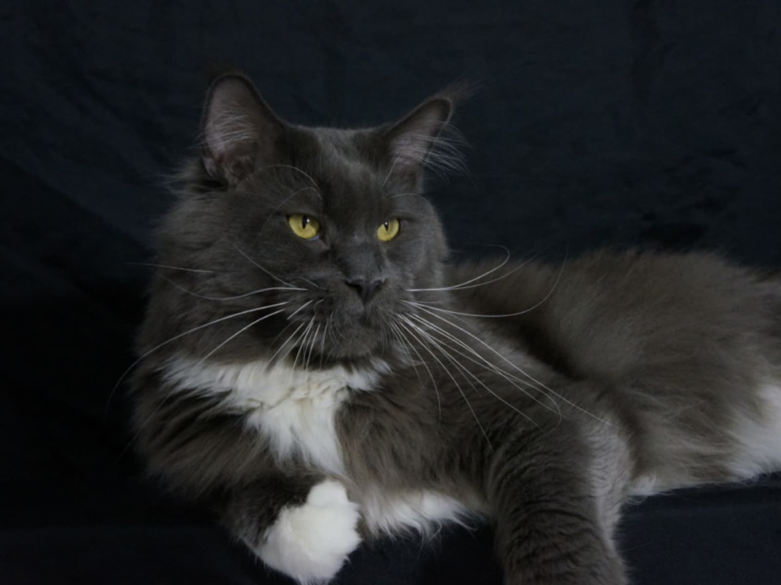 Zdjęcie WhatsApp 2025 10 28 o 202859 164c58bb