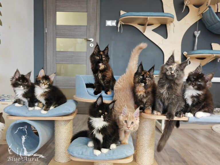 611957710 1651425899372400 3774970589227016321 n