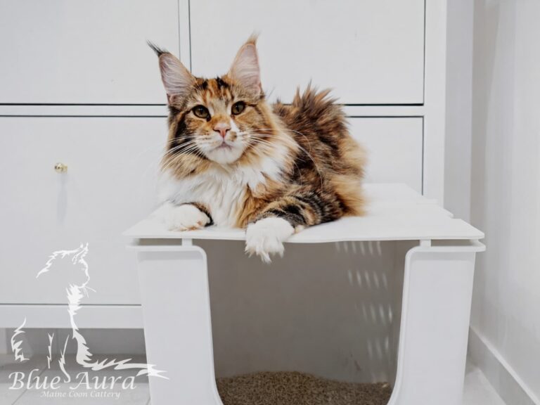 Mit magicznej tubki pasta odkłaczająca